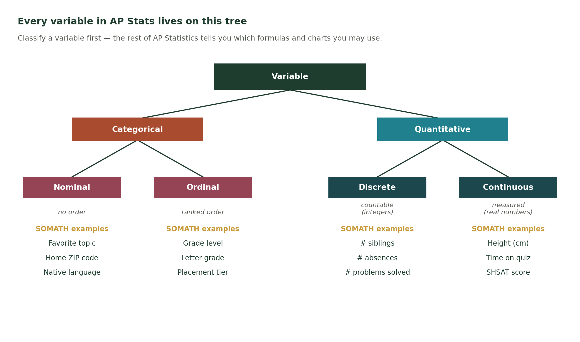 Tree diagram showing how every variable in AP Statistics is classified: a Variable splits into Categorical (Nominal or Ordinal) and Quantitative (Discrete or Continuous), with SOMATH examples under each leaf (favorite topic, home ZIP code, native language; grade level, letter grade, placement tier; number of siblings, number of absences, number of problems solved; height in cm, time on quiz, SHSAT score).