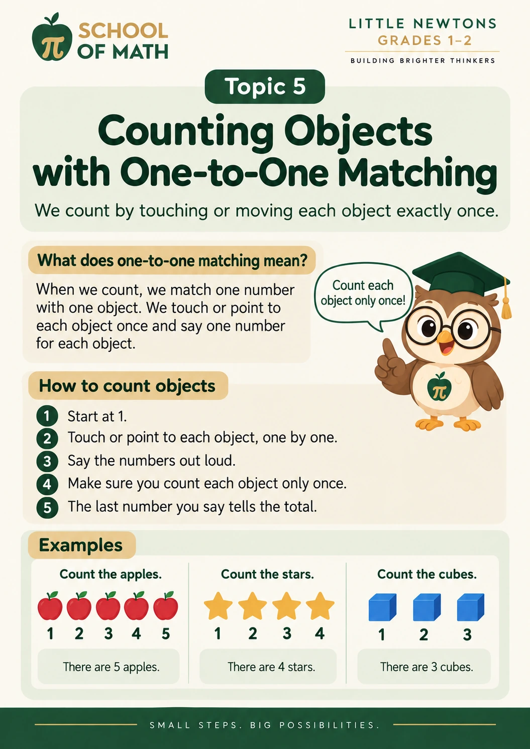 Little Newtons Class 1, poster 5: Counting objects once each.